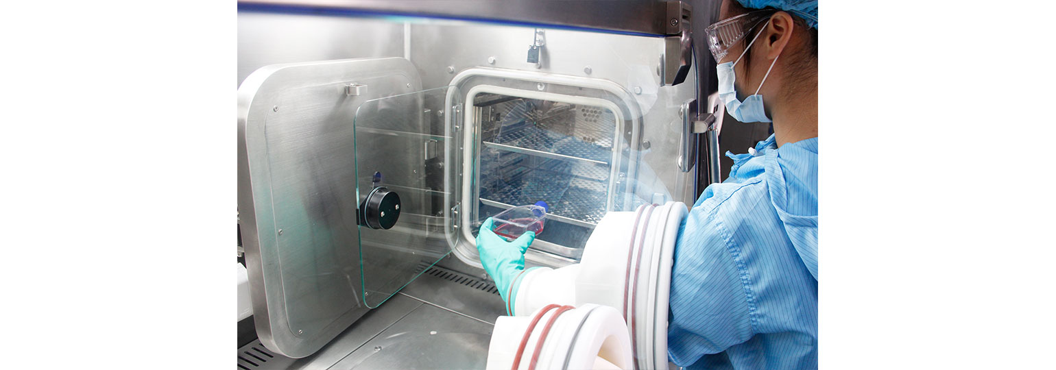 細胞培養隔離器